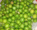 A picture of step 1 of Roasted peas flowers.