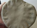 બાજરાનો રોટલો (Bajra Rotlo Recipe In Gujarati)