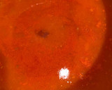 Foto del paso 2 de la receta: Sopa harira tradicional marroquí