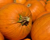 Foto del paso 1 de la receta: Flan de calabaza (sin ningún producto animal)