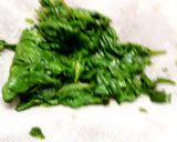 पालक पनीर(Palak Paneer recipe in Hindi) रेसिपी चरण 1 फोटो