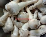 মাশরুম কারি (Mushroom curry recipe in bengali) রেসিপি ধাপ - 1 ছবি