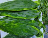 Foto del paso 1 de la receta: Ensalada de Nopales