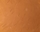 Foto del paso 7 de la receta: Orange 🍊 Pie