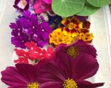 Foto langkah ke 6 dari resep Puding edible flower (edible flower milky puding).