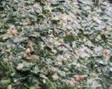 Foto del paso 6 de la receta: Pizza de acelga