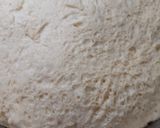 Foto del paso 3 de la receta: Pan dulce con chocolate y nueces