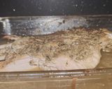 Foto del paso 3 de la receta: Pulpa al Horno Tipo Pulled Pork para Desmechar 😮‍💨
