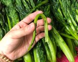 Hình bước làm 2 của món Kim chi cải đắng(각김치)