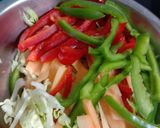 વેજ. હક્કા નુડલ્સ (Veg Hakka Noodles Recipe In Gujarati) રેસીપી સ્ટેપ2ફોટો