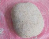 Foto langkah ke 6 dari resep Country Sourdough Bread (Mix gandum, 70% Hydration).