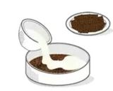 Foto del paso 6 de la receta: Cheesecake 🍰 riquísimos y súper fácil