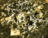 A picture of step 6 of Spinach(Palak) Paneer.