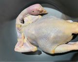 Foto langkah ke 1 dari resep Ayam Rebus _Pak Cam Ke.