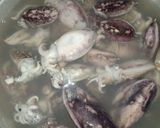 Foto langkah ke 1 dari resep 1030. Krengsengan Sotong.