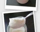 Foto do passo 3 da receita de Iogurte Natural (MCC)