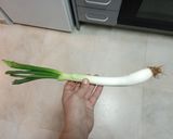 Foto del paso 4 de la receta Calçots y salsa