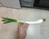 Foto del paso 4 de la receta: Calçots y salsa