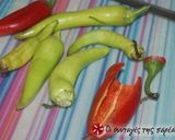 A picture of step 1 of Pickled bull's horn peppers.