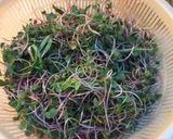 Hình bước làm 1 của món Canh rau mầm củ cải đỏ thịt bò