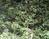 A picture of step 2 of Kigwada (cassava leaves)#Authorsmarathon.