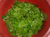 Urap Daun Kelor