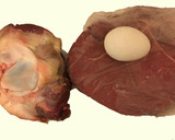 Foto del paso 4 de la receta: Guiso lento para Pascua Cholent para Pesaj