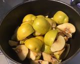 Une image de l'étape 2 de Gelée de coings du jardin.