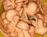 காளான் (மஸ்ரூம்) டிக்கா (Kaalaan tikka recipe in tamil) ரெசிபி ஸ்டேப் 4 புகைப்படம்