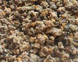 A picture of step 5 of Healthy Tasty Beef & Lentils Taco Meat.