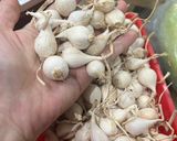 Hình bước làm 1 của món Tỏi ngâm giấm trị bệnh
