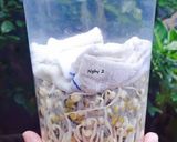 Hình bước làm 2 của món Làm GIÁ sạch tại nhà