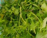Hình bước làm 7 của món Gỏi tai mui