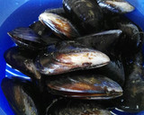 Foto del paso 1 de la receta: Mejillones con dos mayonesas y tierra de aceitunas negras