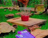 Foto langkah ke 2 dari resep Sad boy ice.