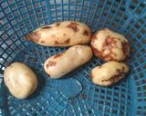 Foto langkah ke 2 dari resep Sayur lengkur betawi tangzel.