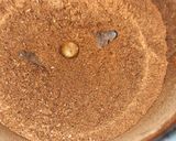 A picture of step 2 of Homemade garam masala powder.