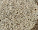 A picture of step 1 of Gud ka paakh.