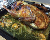 Foto del paso 4 de la receta: Pato relleno asado con mandarinas