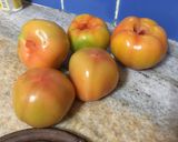 Foto del paso 1 de la receta: Tomates verdes en conserva