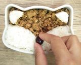 小狐狸肉燥飯的食譜步驟8照片