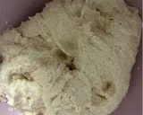 Foto del paso 2 de la receta: Pulguitas de Espelta Blanca de larga fermentación.