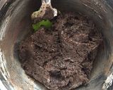 Foto del paso 3 de la receta: Rollito helado de galletas oreo
