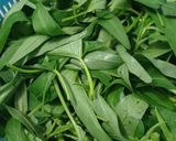Foto langkah ke 1 dari resep Cobek Kangkung.