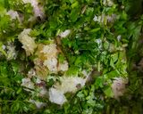 ময়দার ঝাল বড়া রেসিপির ধাপ 1 ছবি
