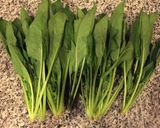 A picture of step 1 of Japanese Spinach with sesame sauce(Goma ae).