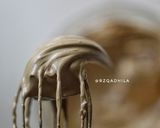 Foto langkah ke 1 dari resep Dalgona Coffee (Hasil Krim Kental Banget Tanpa Mikser).