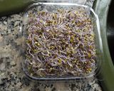 Foto del paso 1 de la receta: Ensalada otoñal con granada y brotes de lombarda