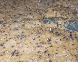 Foto del paso 3 de la receta: Crema de brócoli, berenjena y zanahorias