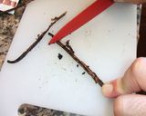 Foto del paso 1 de la receta Pastas de té de vainilla y chcolate